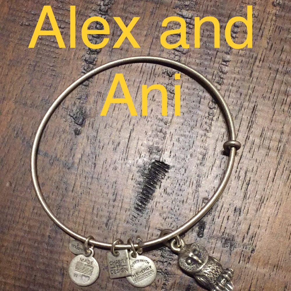 Alex and Ani Owl Bracelet